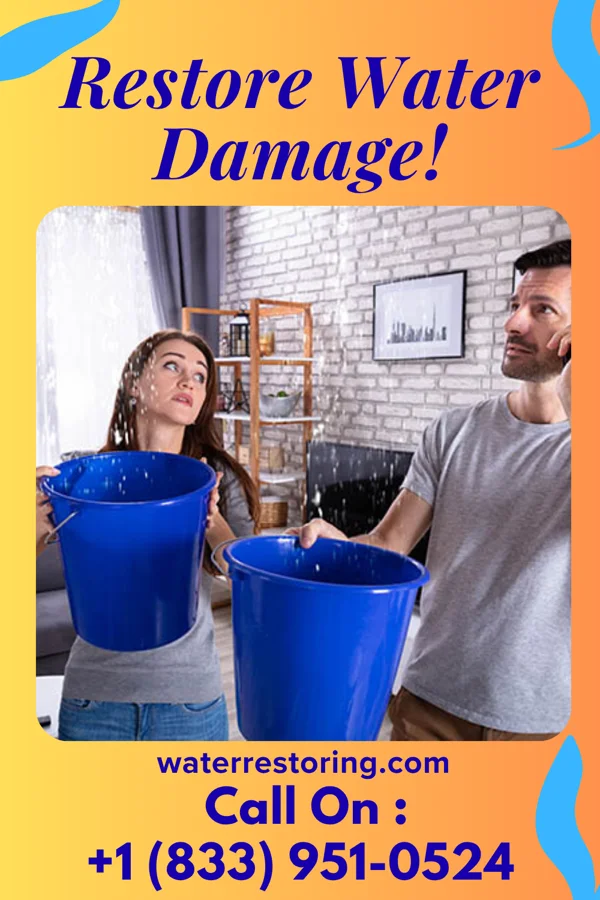 water restoration Express Disaster Cleanup & Associates Mammoth